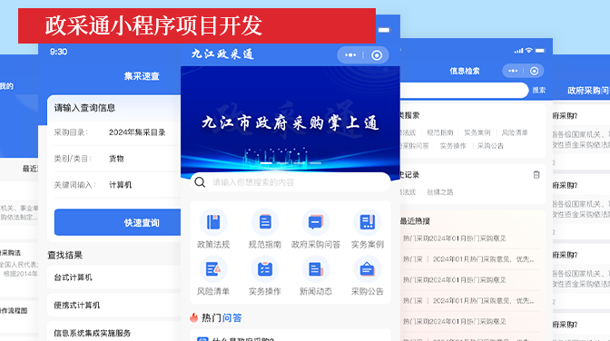 項目案例：政采通小程序開發(fā)項目